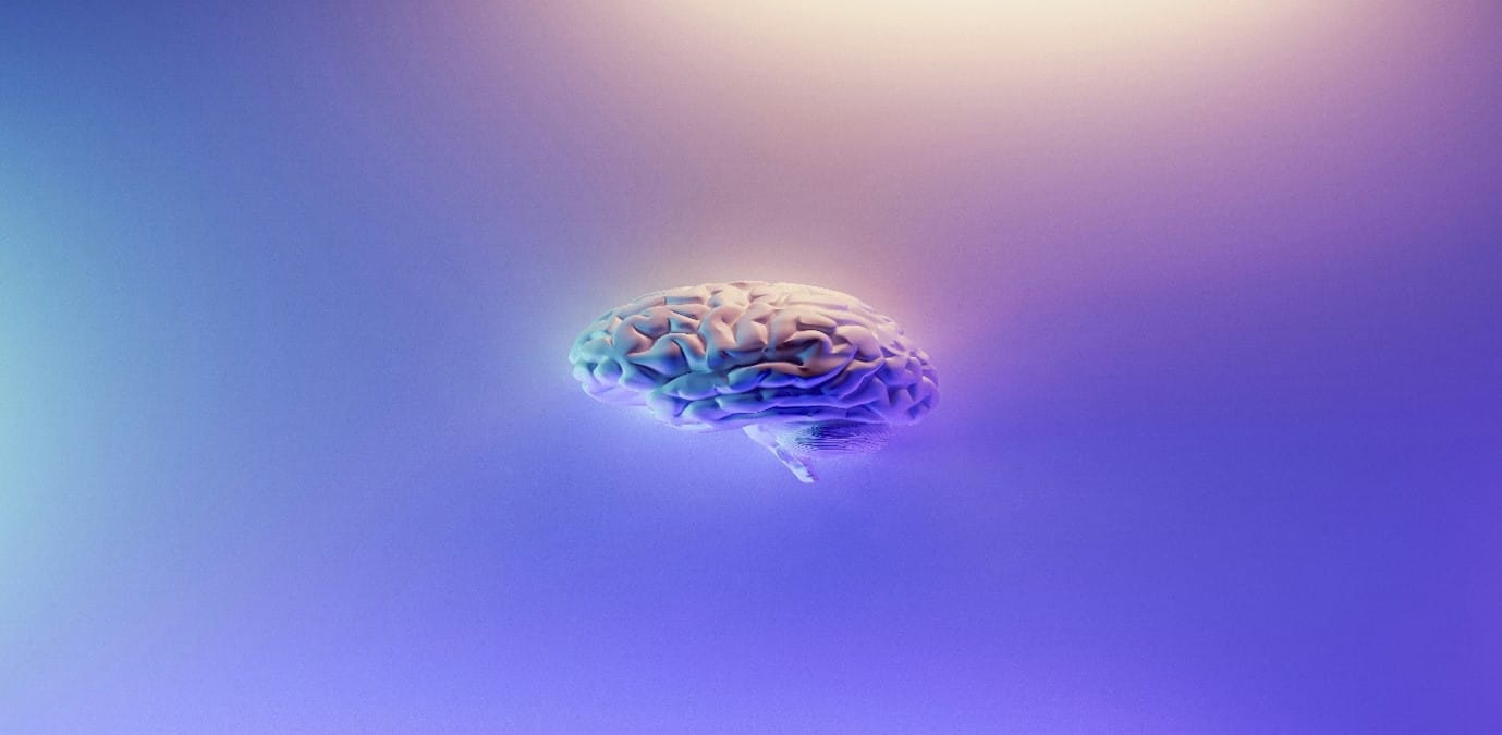 Do People Ever Learn? How the Brain Adapts to Learning